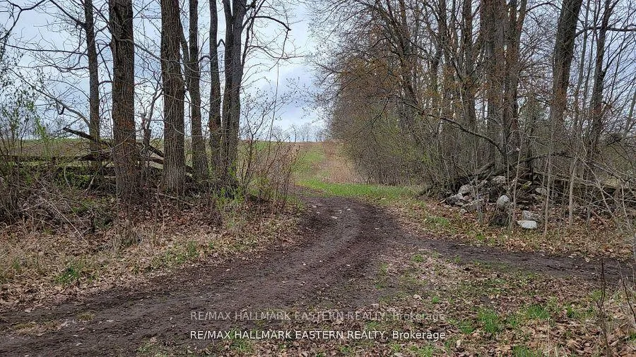 Photo 17 of 1737 Thirteenth Line, Selwyn — HOMEH