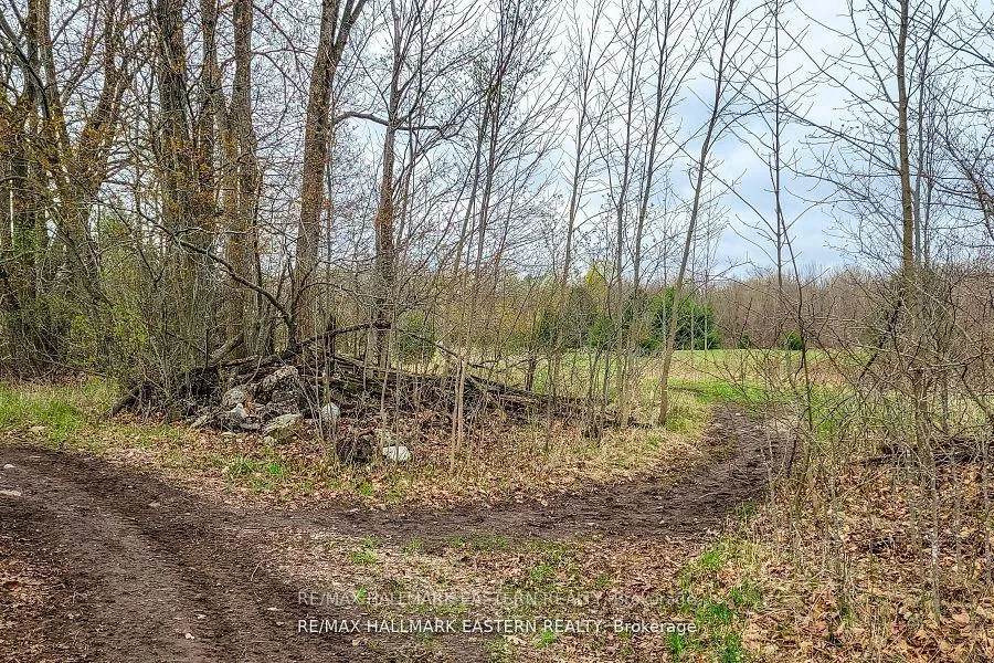 Photo 21 of 1737 Thirteenth Line, Selwyn — HOMEH