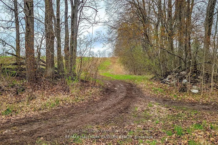 Photo 22 of 1737 Thirteenth Line, Selwyn — HOMEH