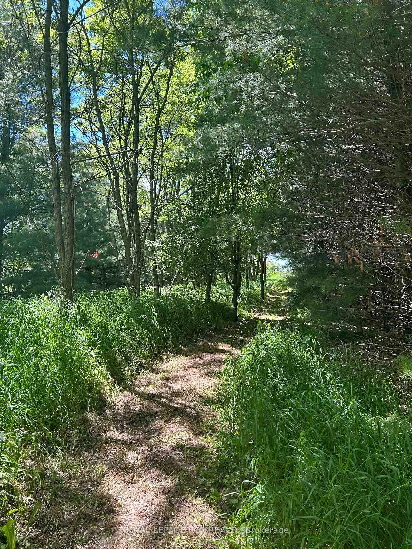 Photo 2 of Lot 29 5th Line E, Mulmur, Rural Mulmur — HOMEH