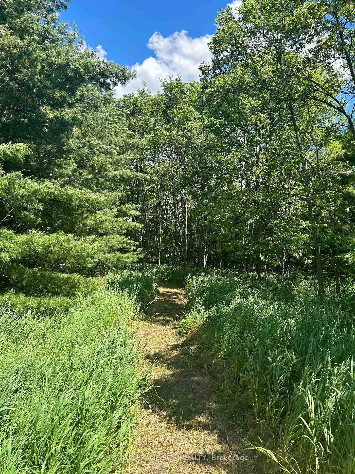 Photo 10 of Lot 29 5th Line E, Mulmur, Rural Mulmur — HOMEH