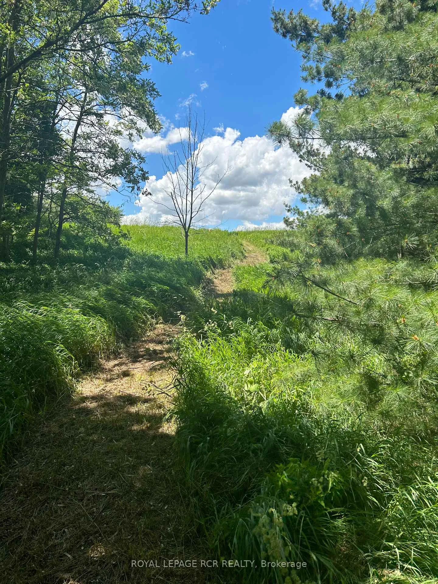 Photo 11 of Lot 29 5th Line E, Mulmur, Rural Mulmur — HOMEH