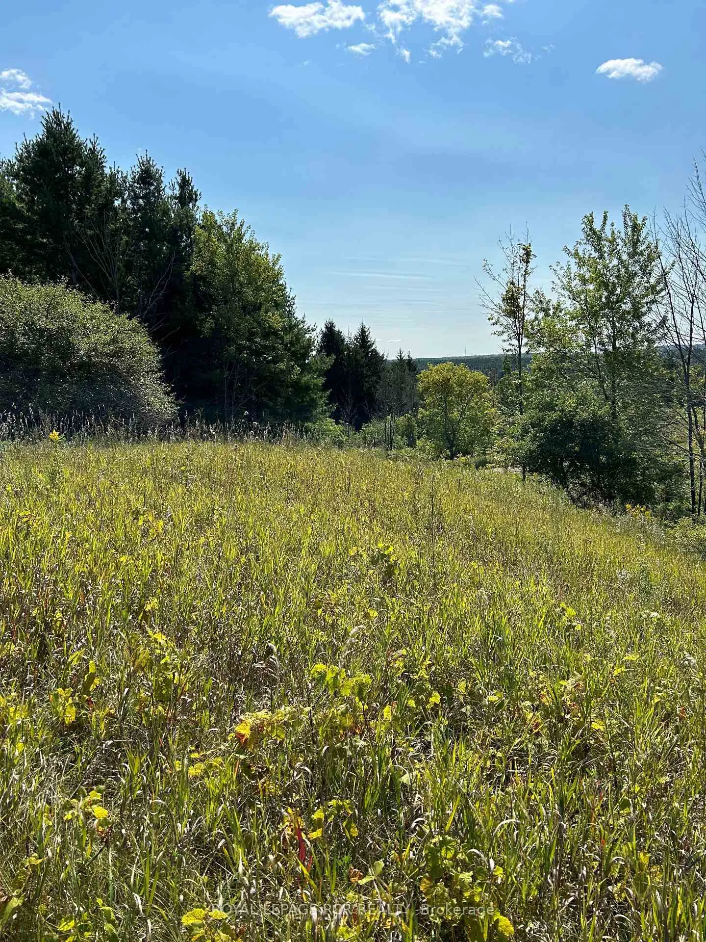 Photo 12 of Lot 29 5th Line E, Mulmur, Rural Mulmur — HOMEH