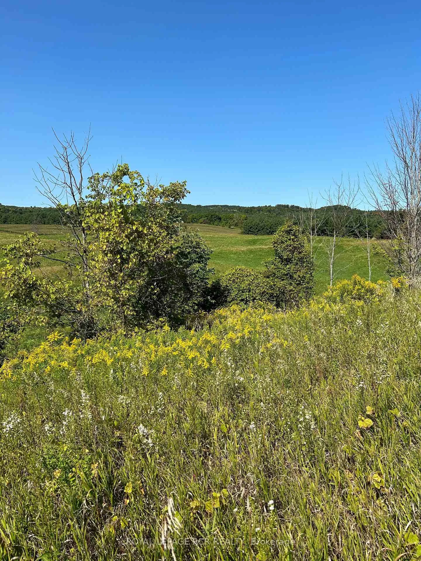 Photo 13 of Lot 29 5th Line E, Mulmur, Rural Mulmur — HOMEH