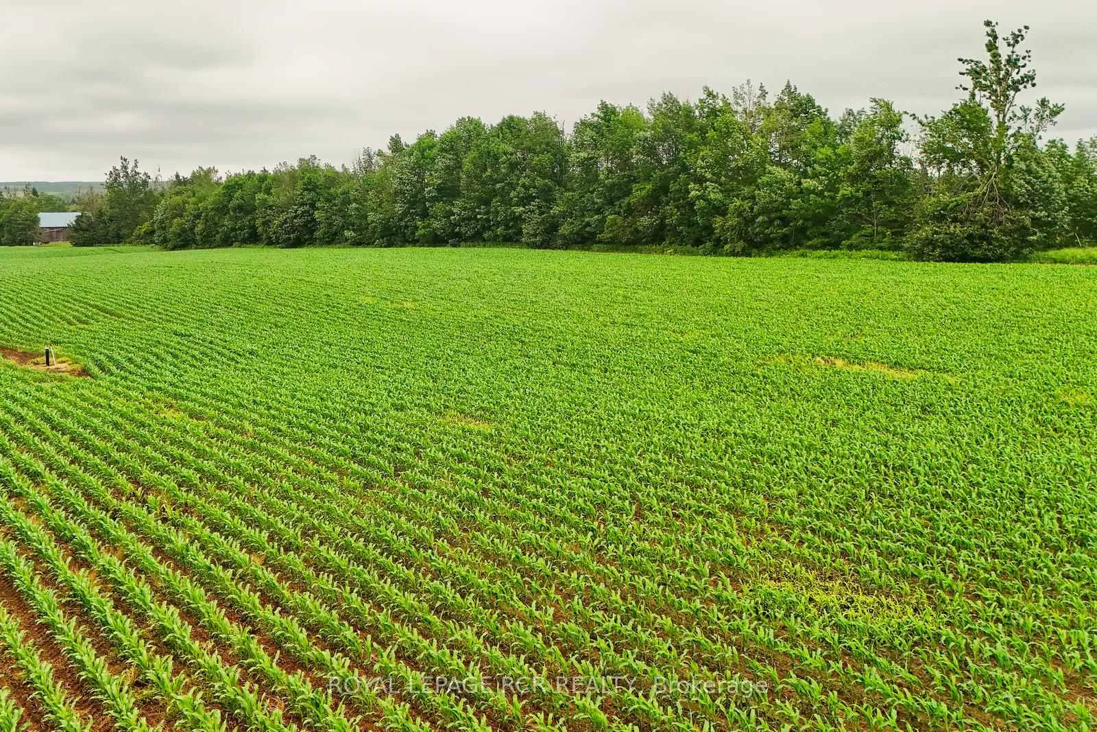 Photo 9 of 537086 Main St, Melancthon, Rural Melancthon — HOMEH