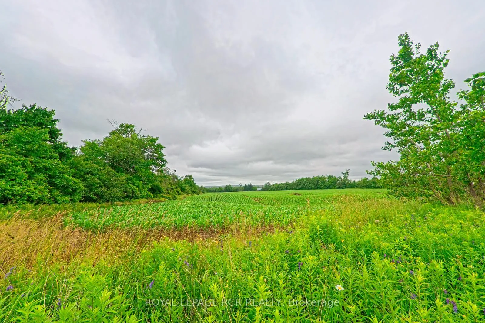 Photo 11 of 537086 Main St, Melancthon, Rural Melancthon — HOMEH