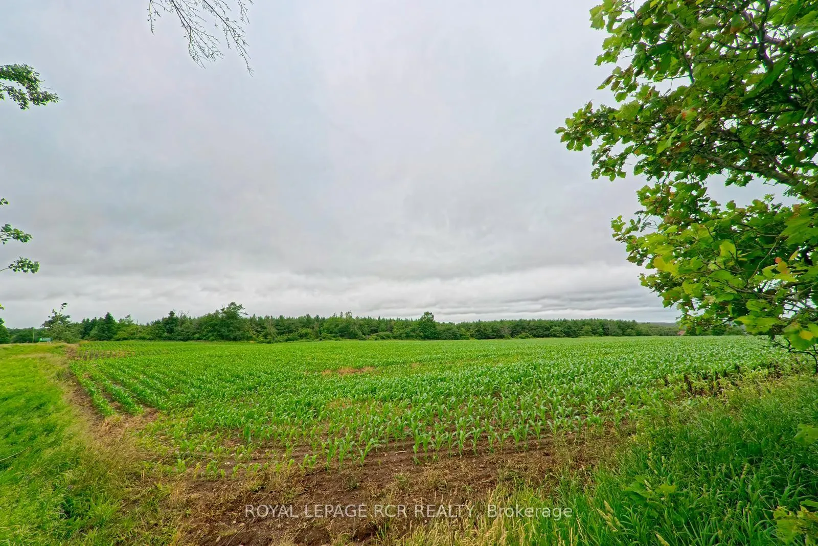 Photo 12 of 537086 Main St, Melancthon, Rural Melancthon — HOMEH