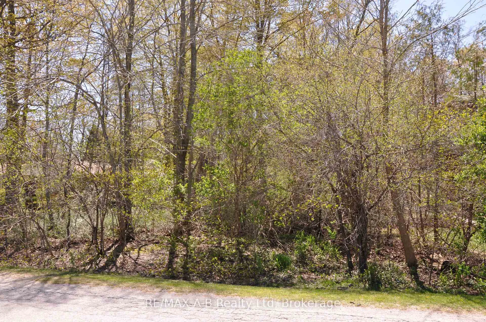 Photo 5 of 26 Cameron Street, Bluewater, Bayfield — HOMEH