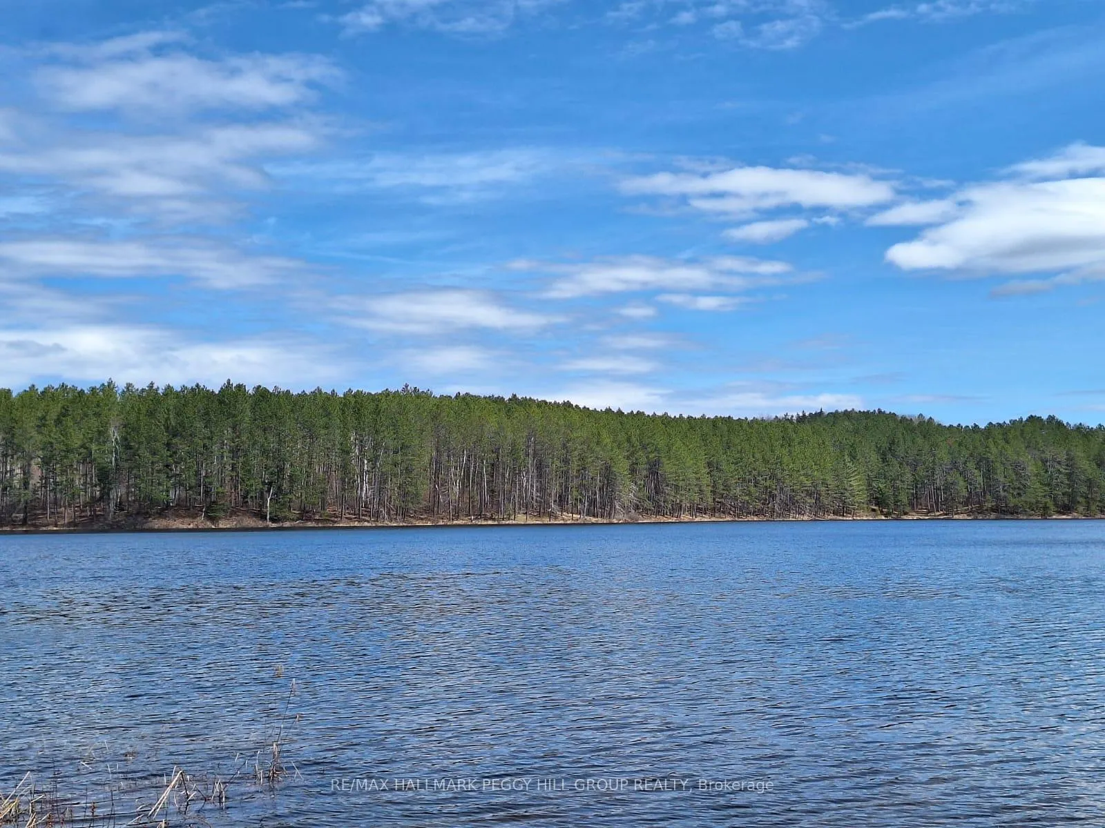 Photo 3 of Pioneer Road, Bonfield — HOMEH