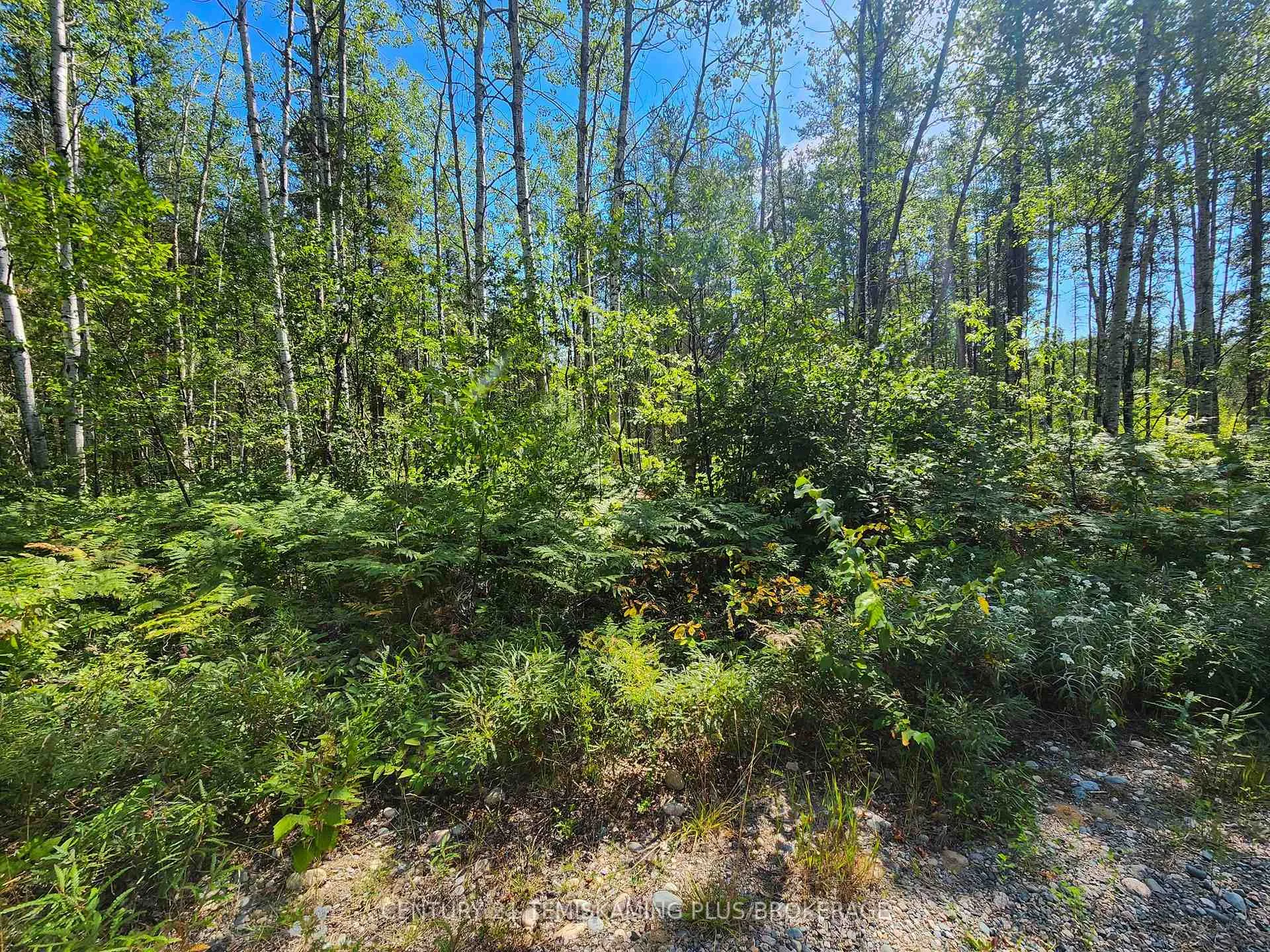 Photo 29 of LT7 Cn1 Beauchamp/Henwood Boundary Road, Timiskaming, TIM - Outside - Rural — HOMEH