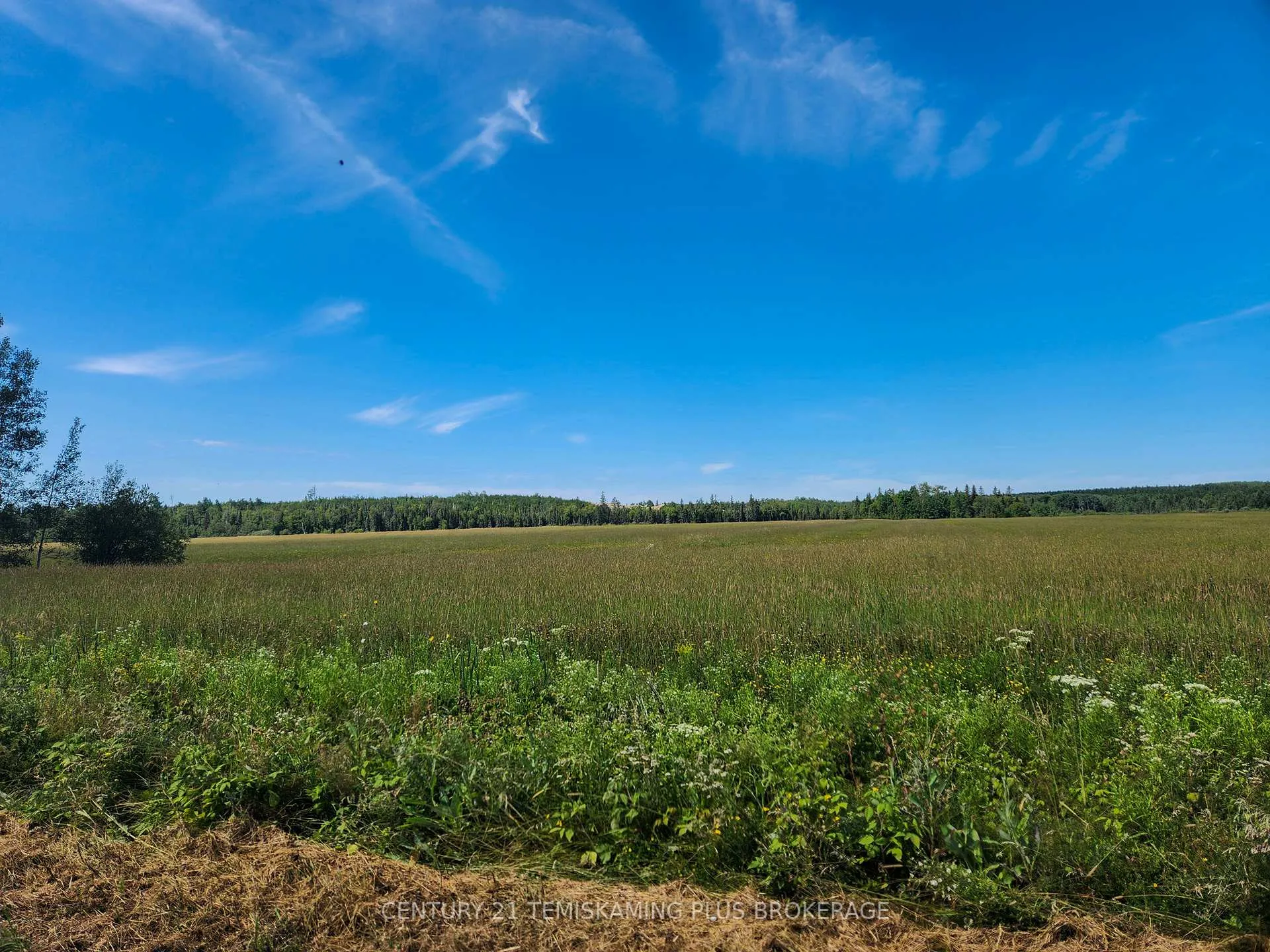 Photo 35 of LT7 Cn1 Beauchamp/Henwood Boundary Road, Timiskaming, TIM - Outside - Rural — HOMEH