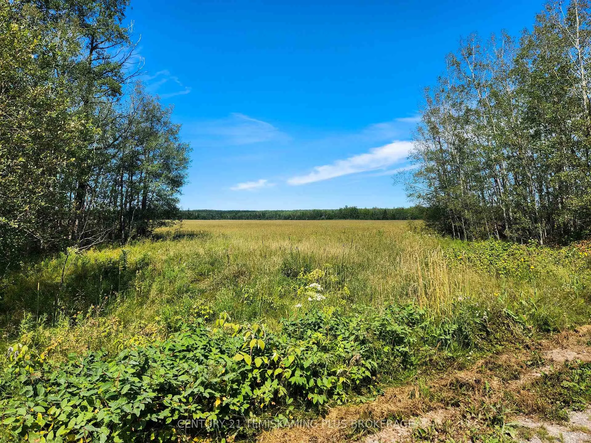 Photo 36 of LT7 Cn1 Beauchamp/Henwood Boundary Road, Timiskaming, TIM - Outside - Rural — HOMEH