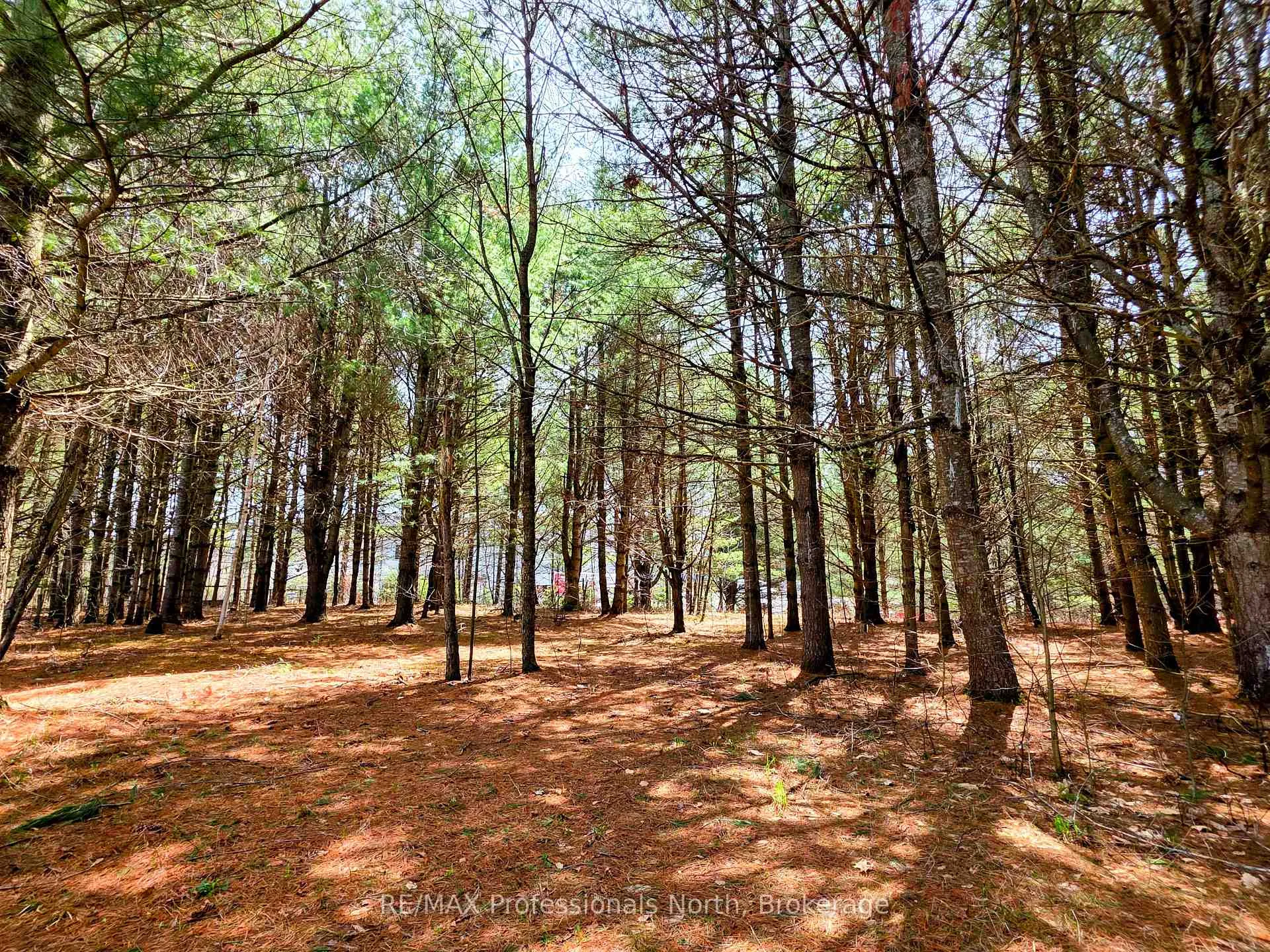Photo 32 of 1037 West Road, Minden Hills, Minden — HOMEH