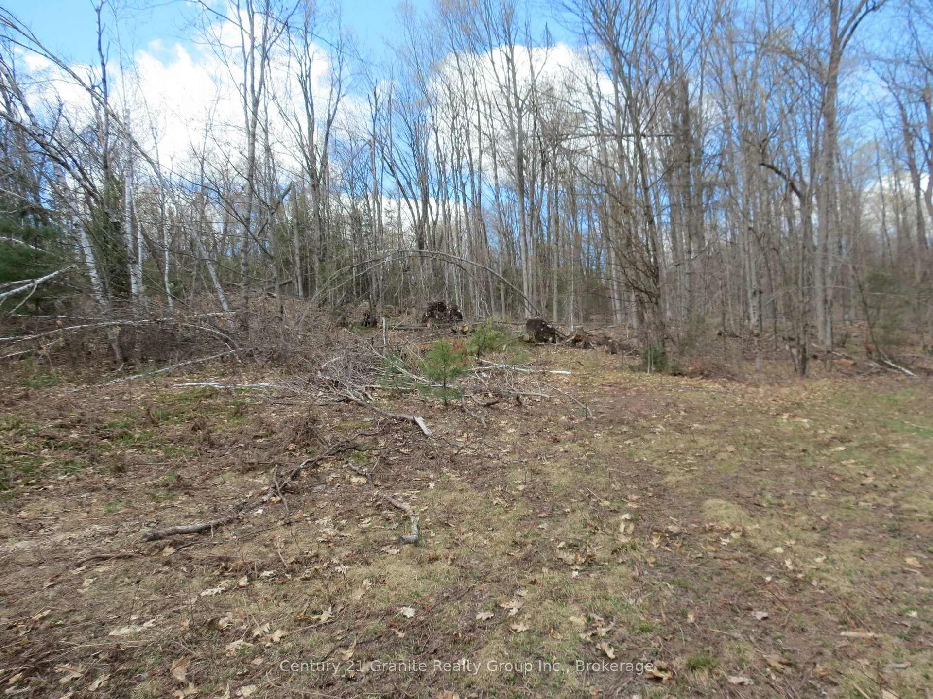 Photo 15 of 6013 County Road 503, Minden Hills, Snowdon — HOMEH