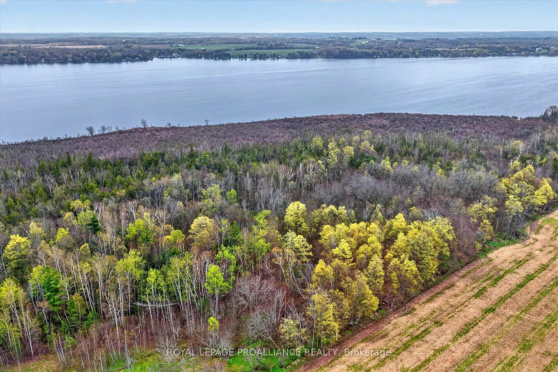 Photo 11 of Whitfield Road, Scugog, Rural Scugog — HOMEH