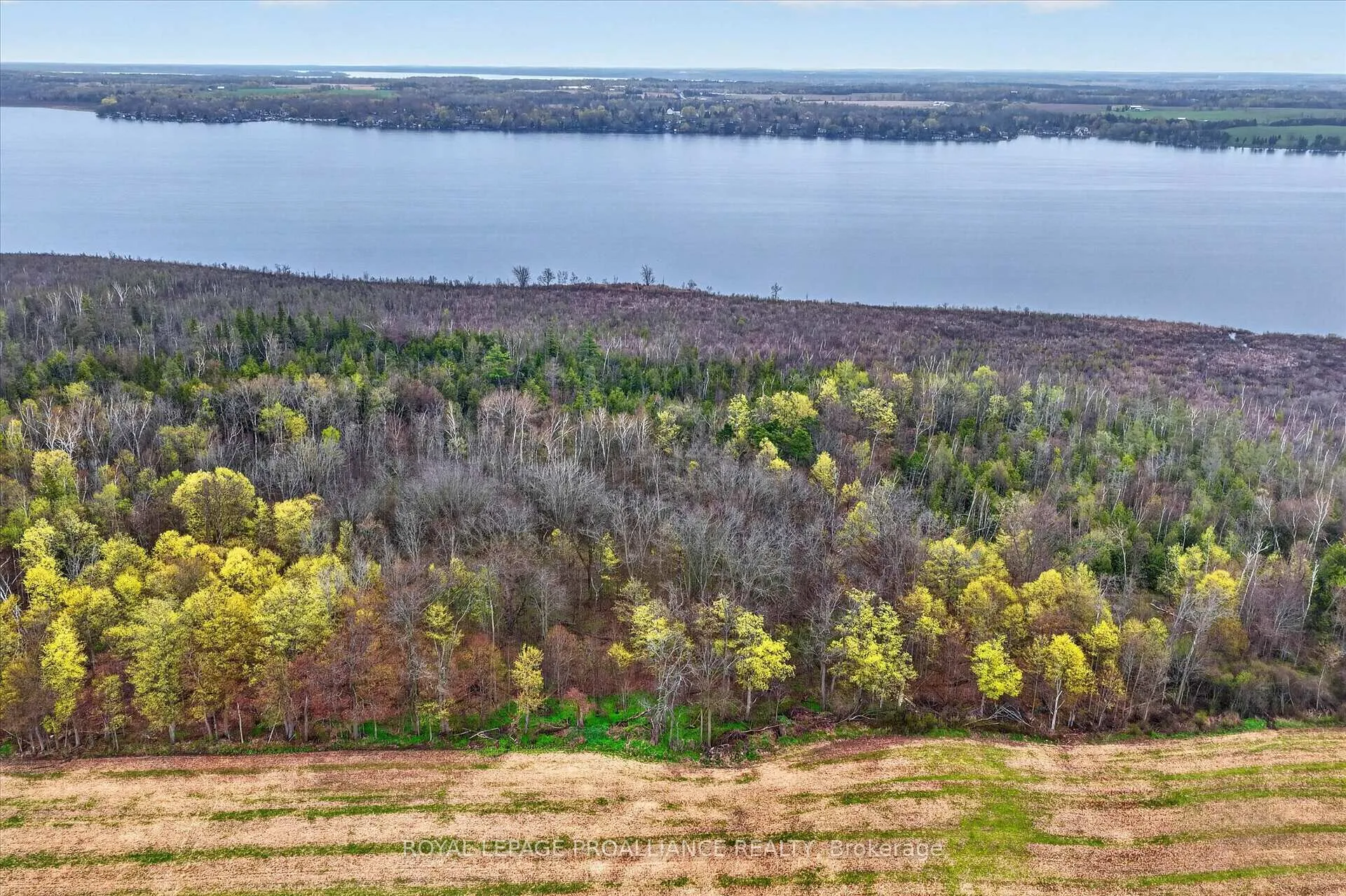 Photo 12 of Whitfield Road, Scugog, Rural Scugog — HOMEH