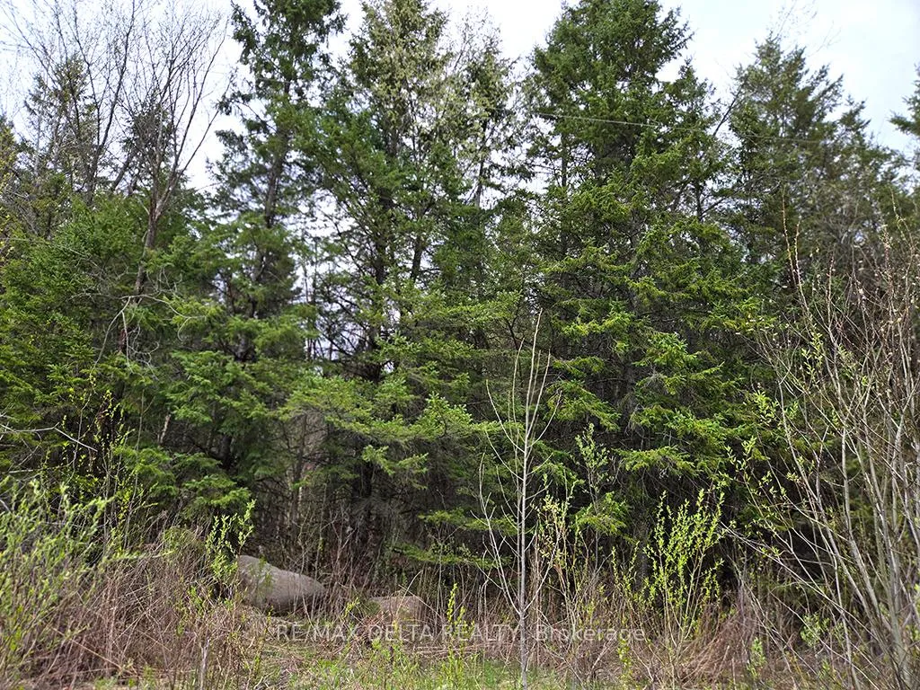 Photo 2 of 000 Concession 5 Road, North Glengarry, North Glengarry (Kenyon) Twp — HOMEH