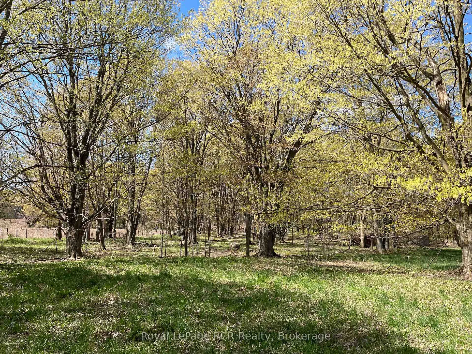 Photo 4 of Concession 4W Road, Brockton — HOMEH