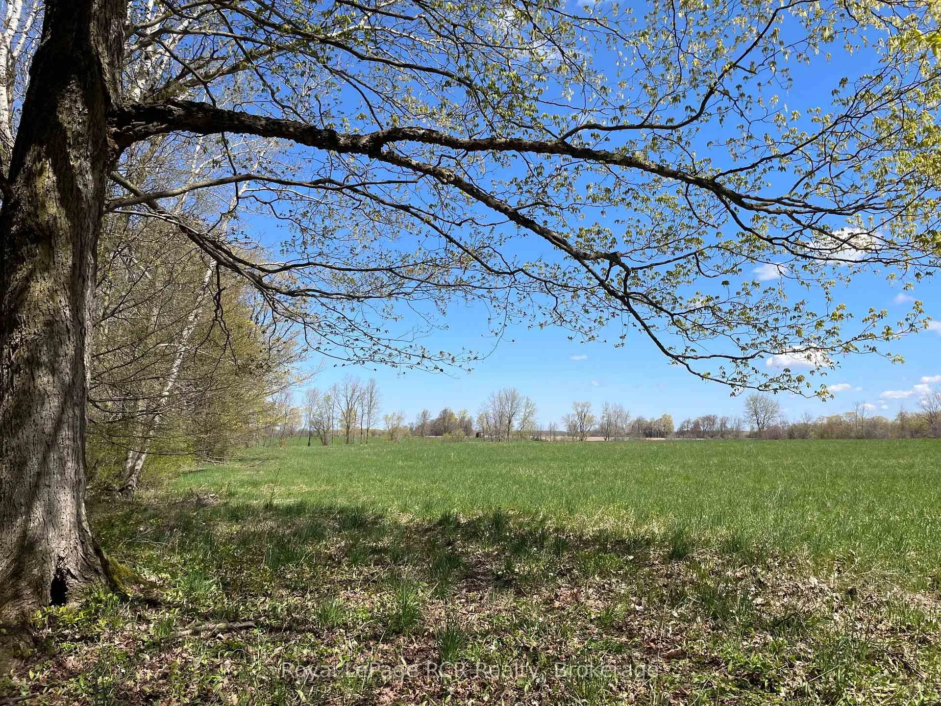 Photo 9 of Concession 4W Road, Brockton — HOMEH