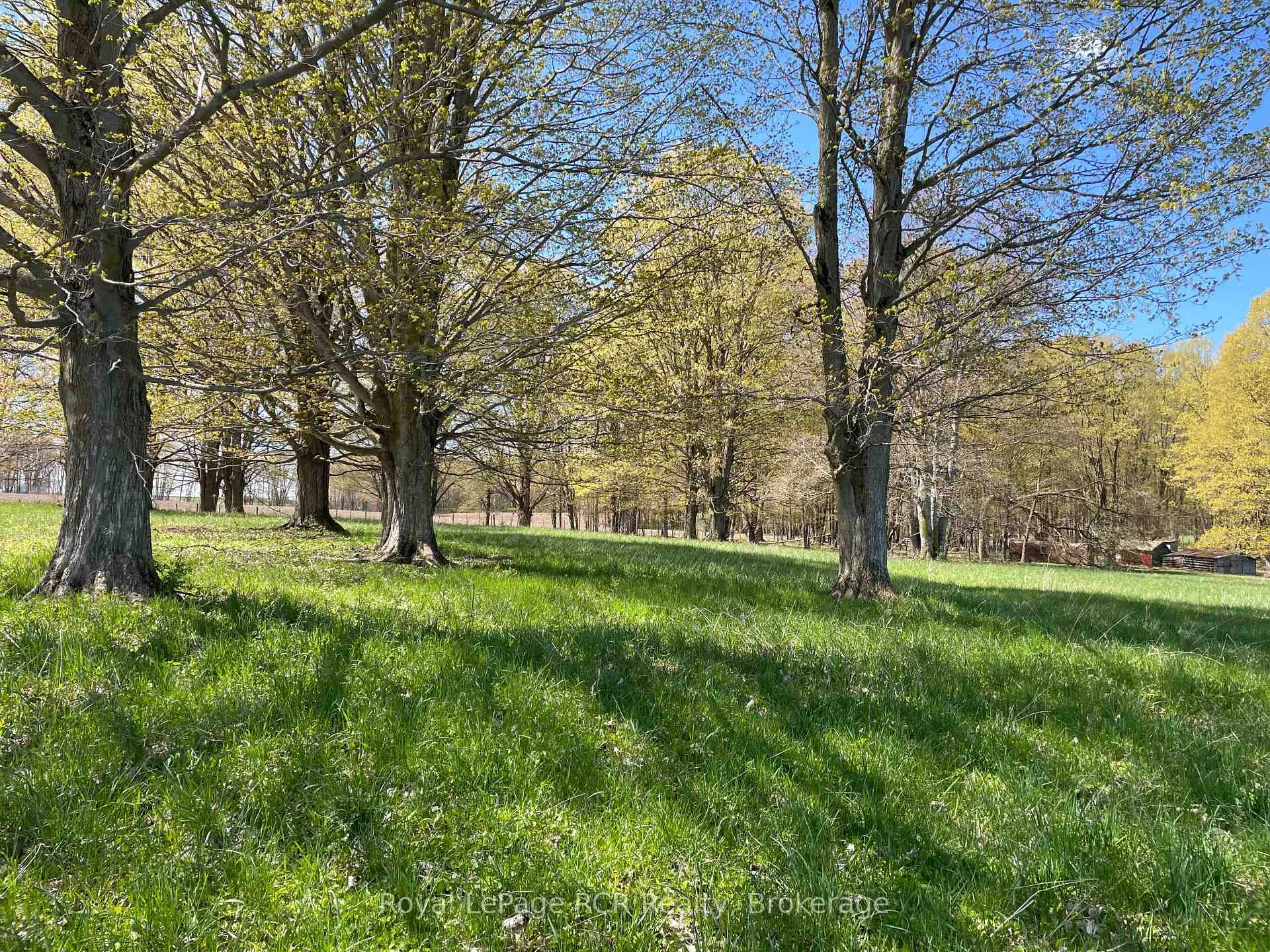 Photo 21 of Concession 4W Road, Brockton — HOMEH