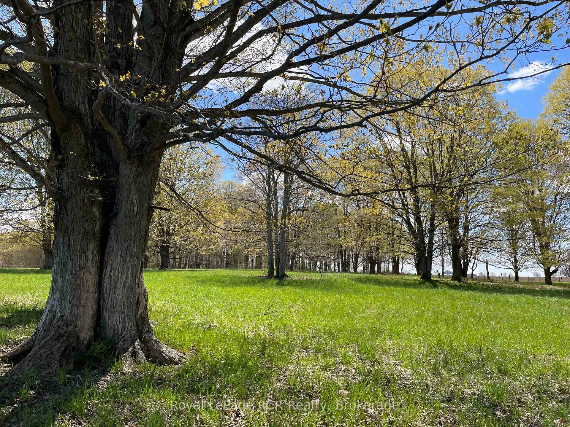 Photo 22 of Concession 4W Road, Brockton — HOMEH