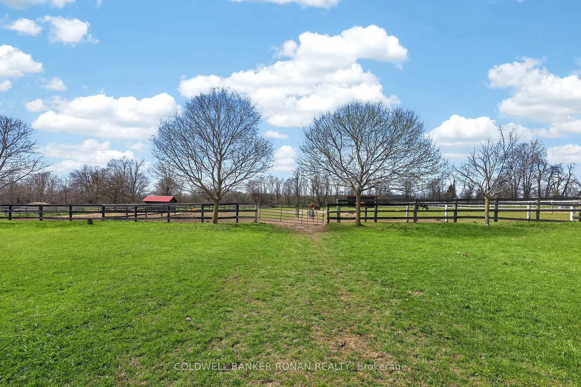 Photo 14 of 4479 2nd Line N, Oro-Medonte, Rural Oro-Medonte — HOMEH