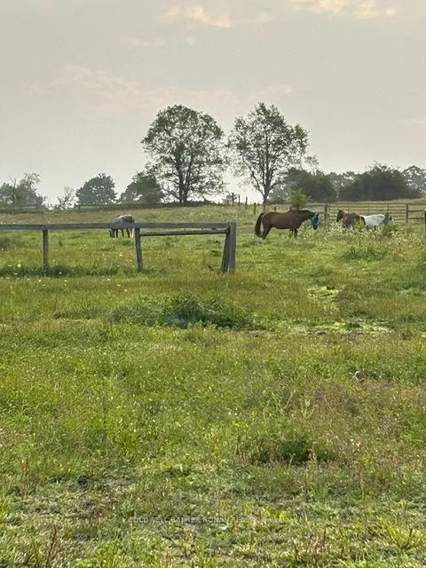 Photo 23 of 4479 2nd Line N, Oro-Medonte, Rural Oro-Medonte — HOMEH