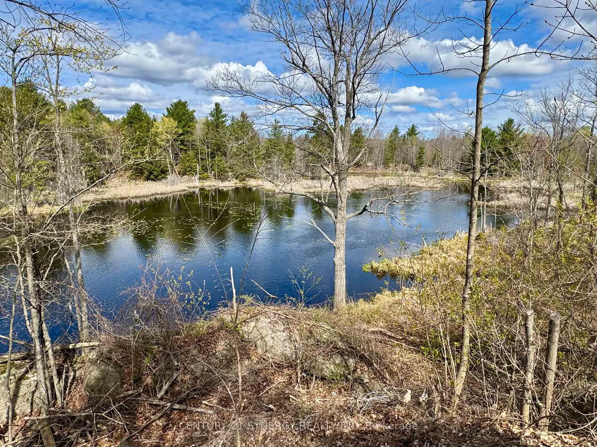 Photo 8 of 11537 County Road 38, Frontenac, Frontenac Centre — HOMEH