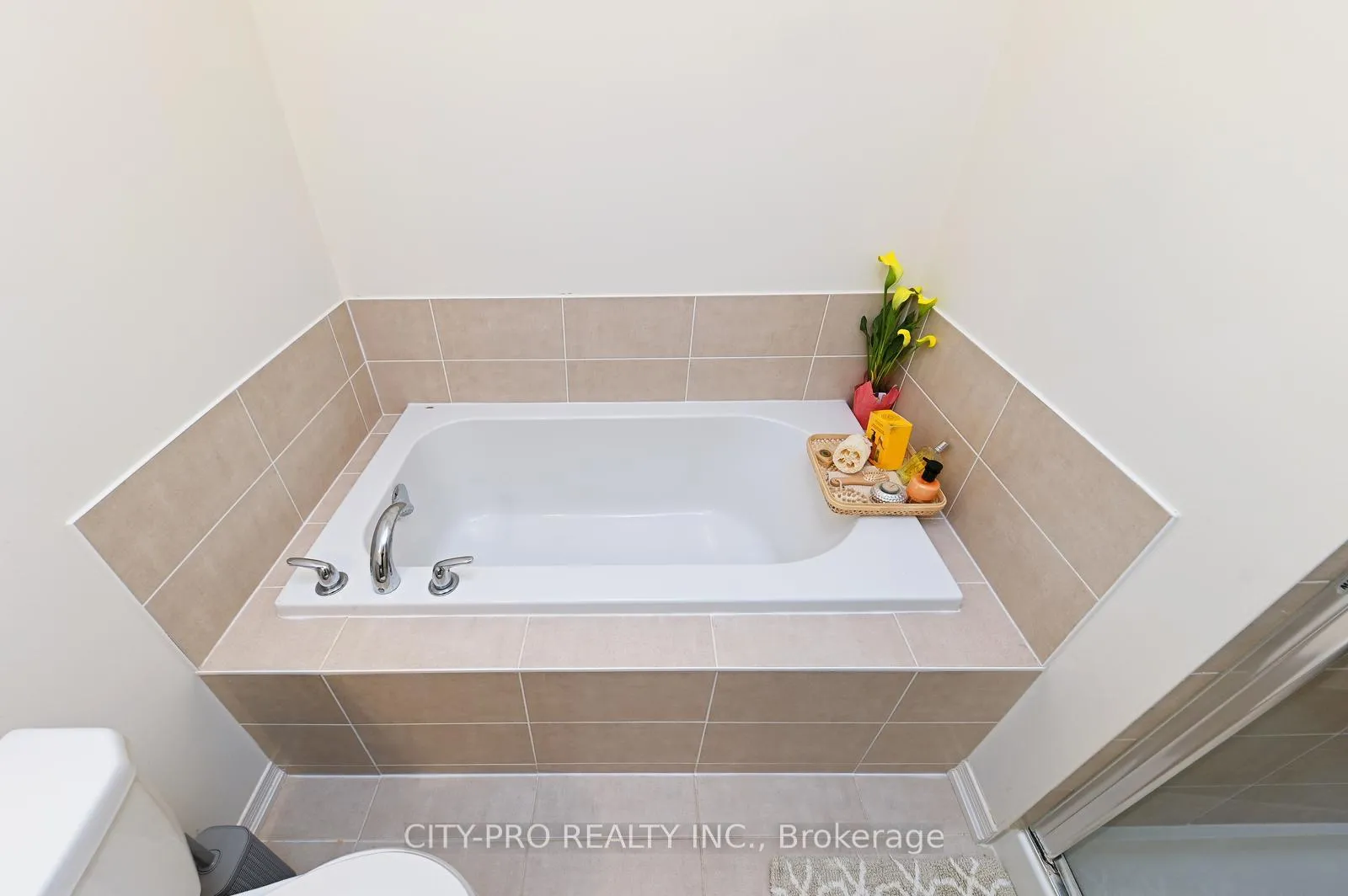 Photo 42 of 230 Duncan Lane, Milton, Scott — HOMEH