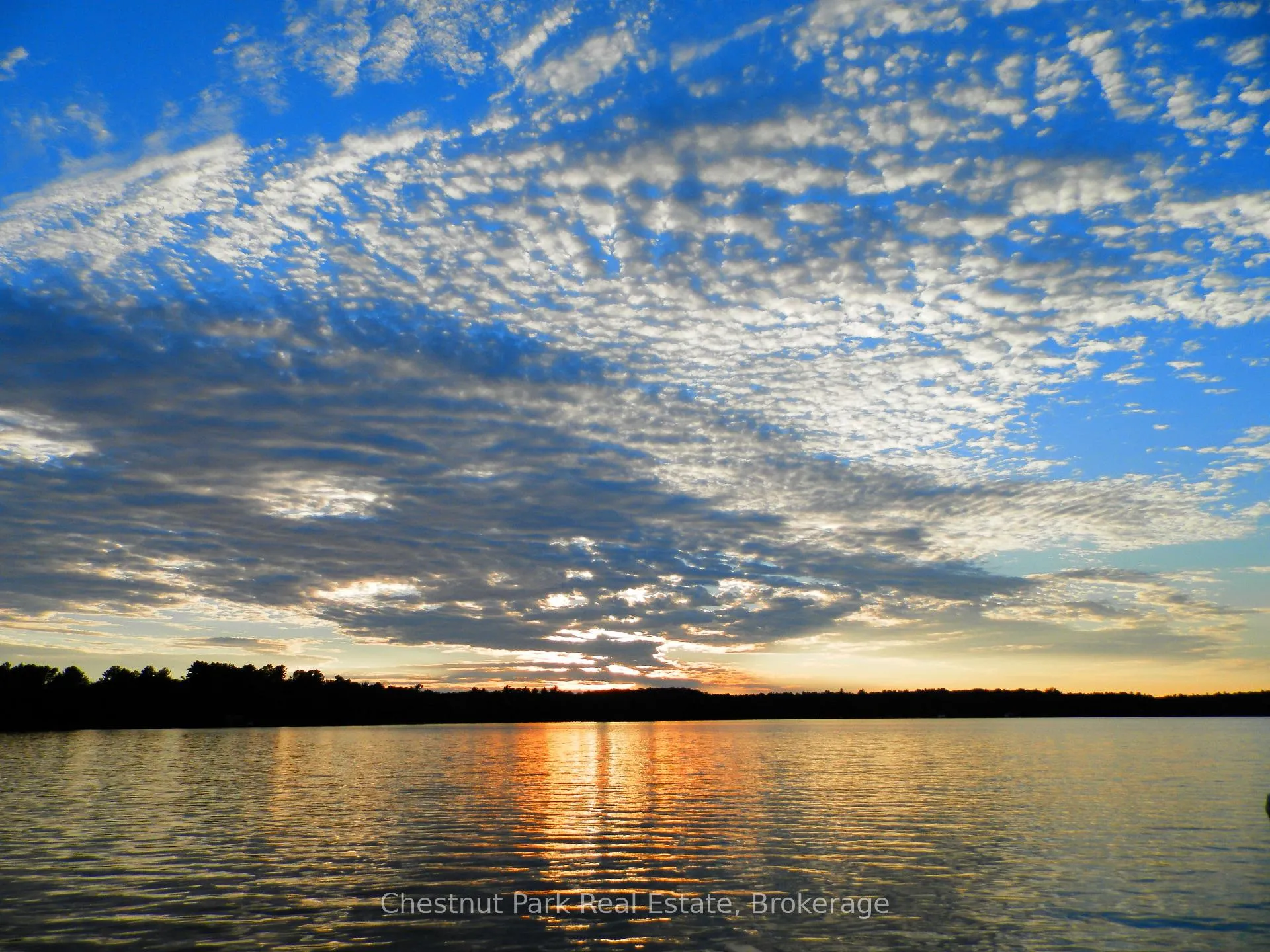 Photo 41 of 6 Sundown Road, Seguin — HOMEH