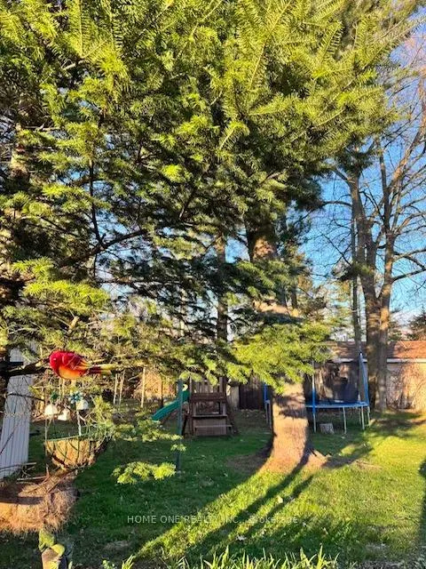 Photo 5 of 2467 25th Side Road, Innisfil, Alcona — HOMEH