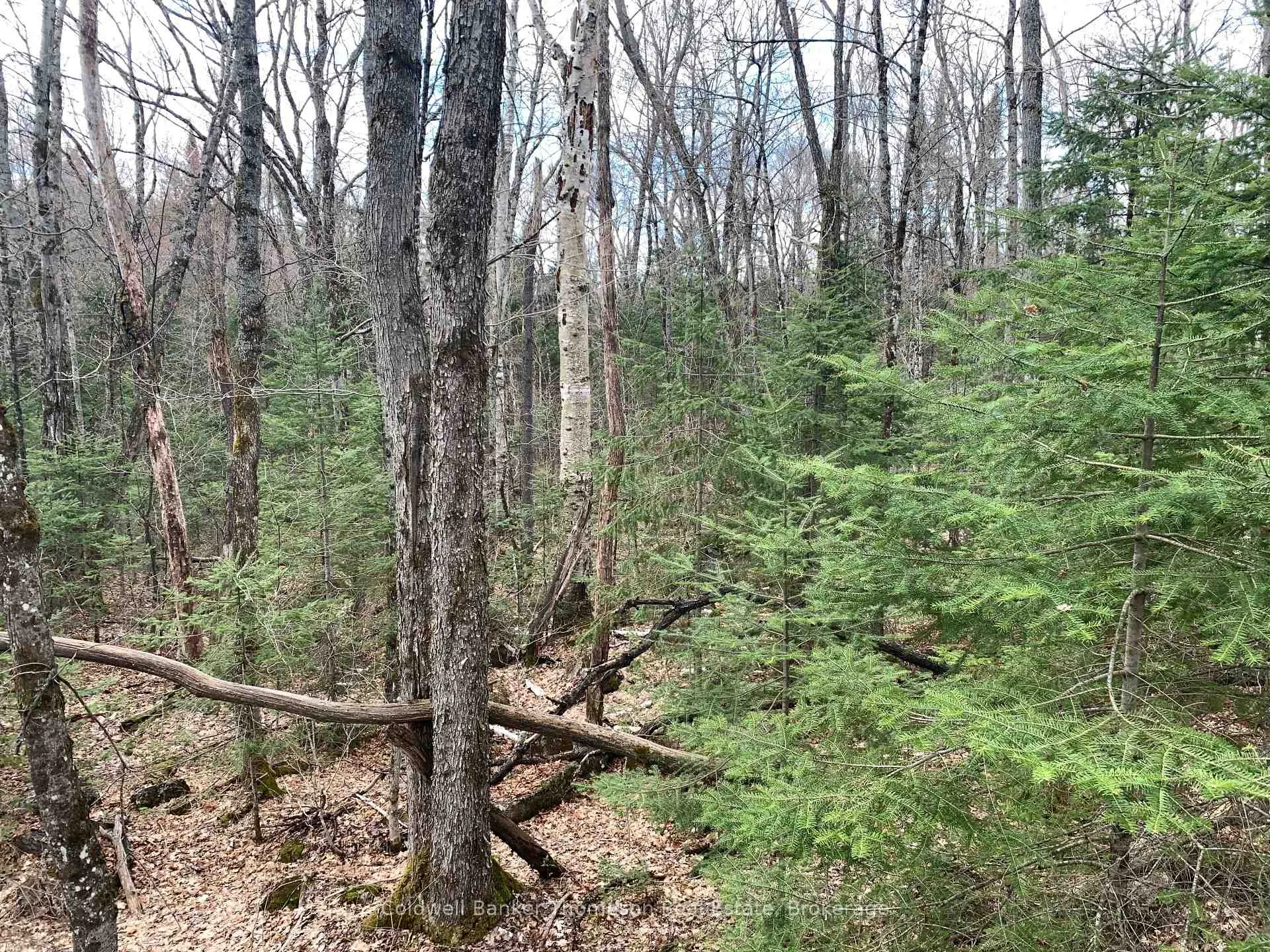 Front of 0 South Horn Lake Road