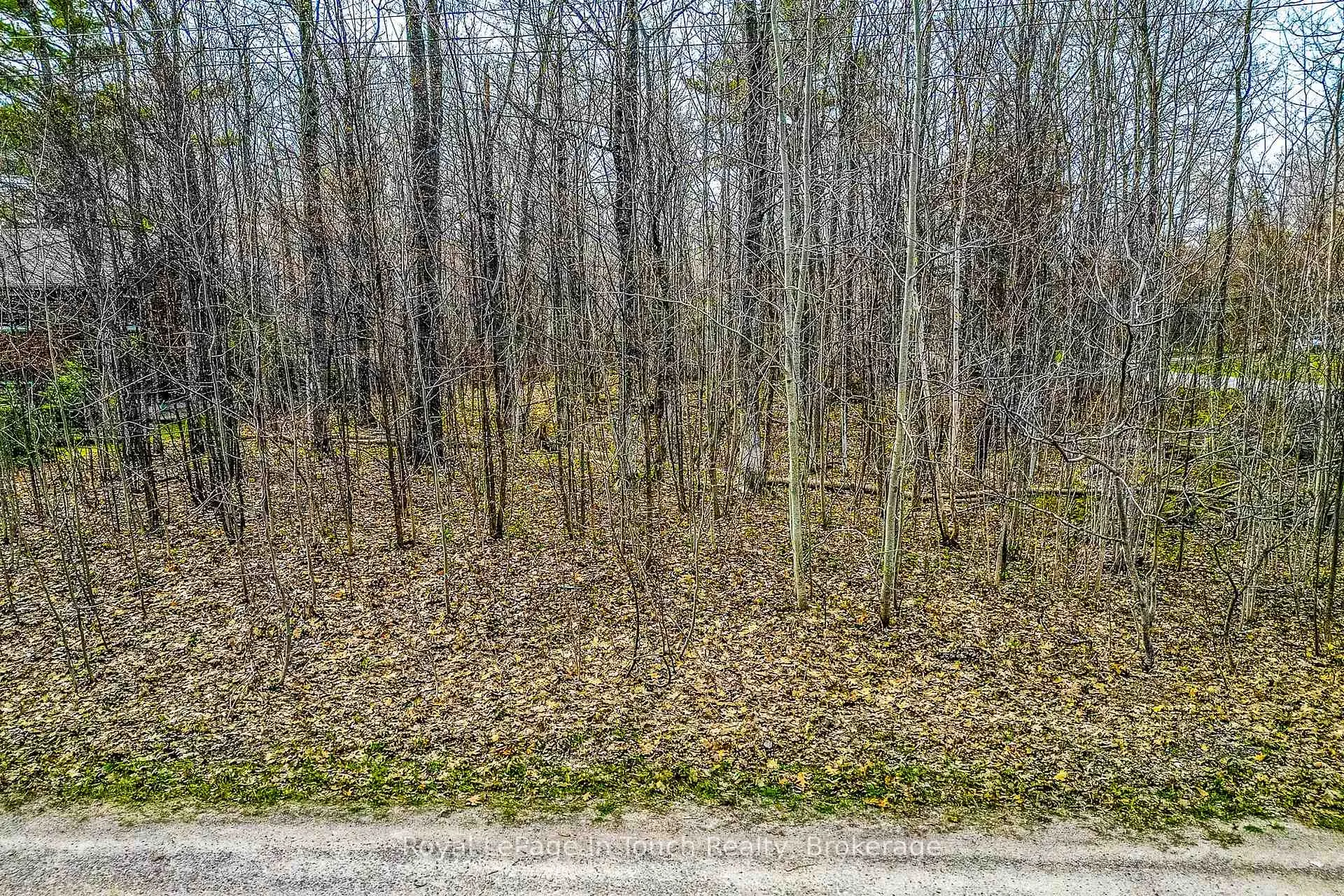 Photo 12 of Lot C Parklane Court, Tiny, Rural Tiny — HOMEH