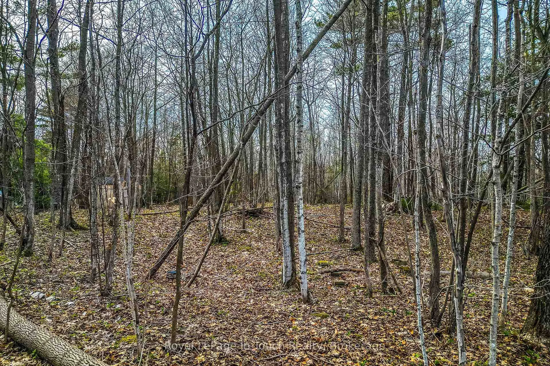 Photo 14 of Lot C Parklane Court, Tiny, Rural Tiny — HOMEH