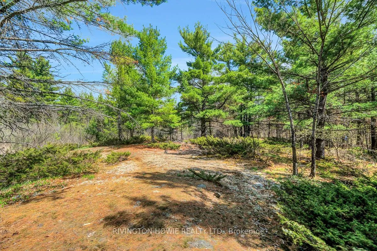 Photo 42 of 104 Tall Forest Drive, Ottawa, Carp — HOMEH
