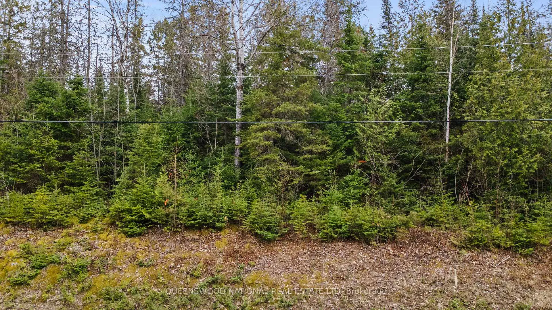 Photo 5 of Siberia Road, Madawaska Valley, Madawaska Valley — HOMEH