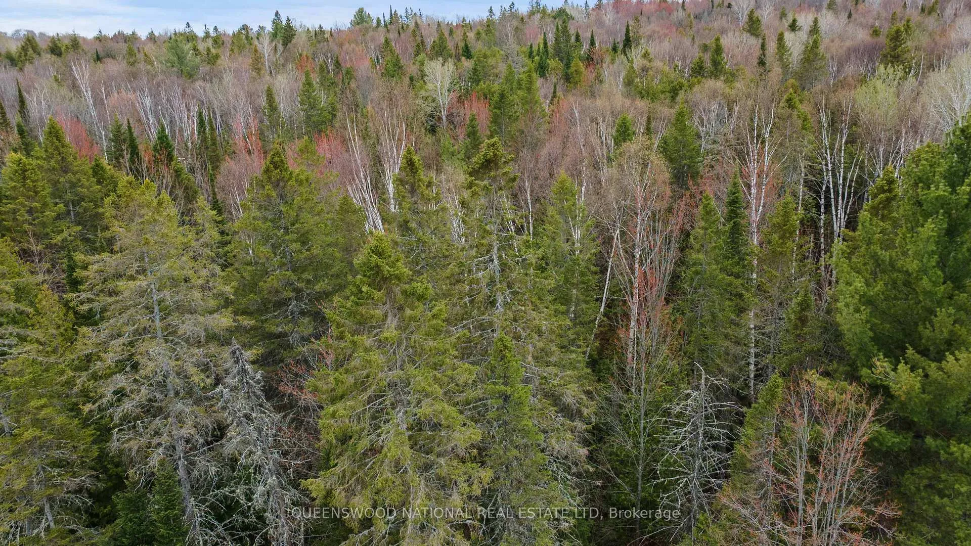 Photo 6 of Siberia Road, Madawaska Valley, Madawaska Valley — HOMEH