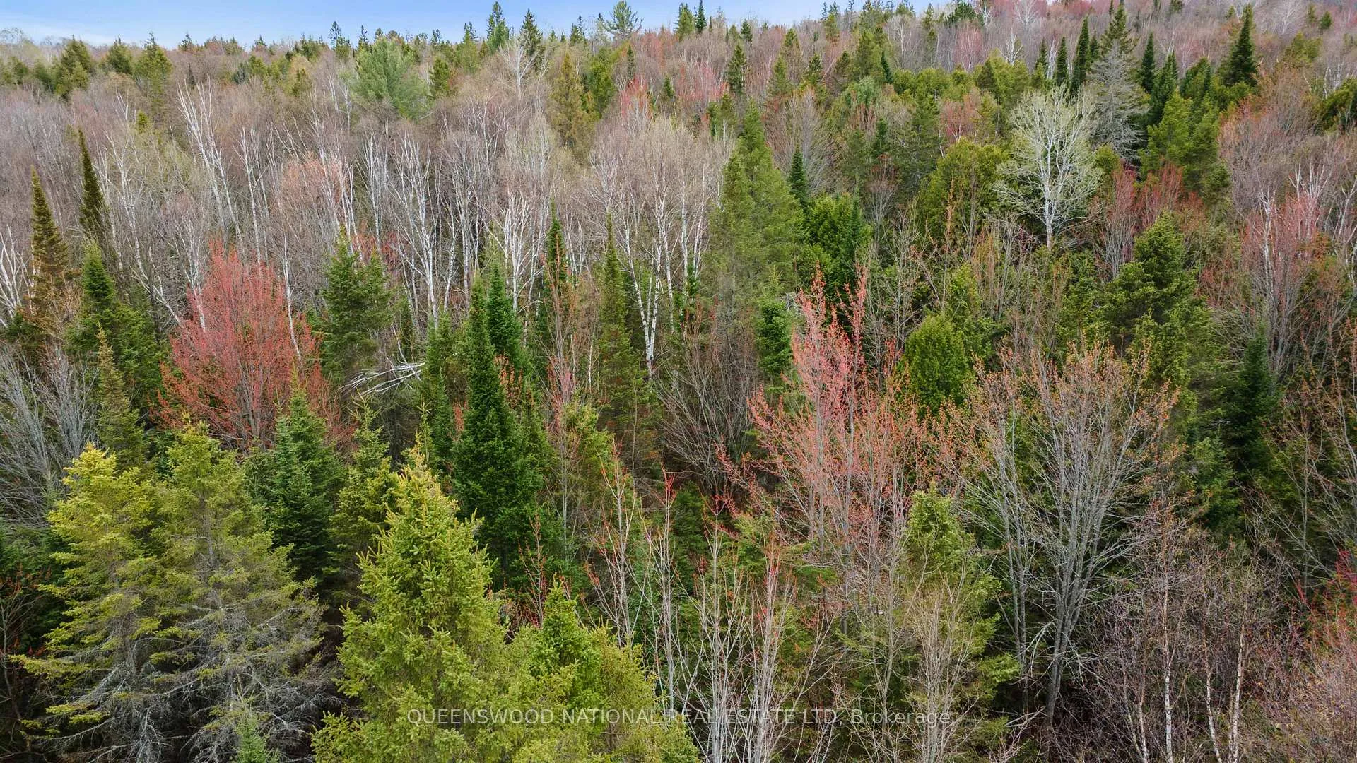 Photo 7 of Siberia Road, Madawaska Valley, Madawaska Valley — HOMEH