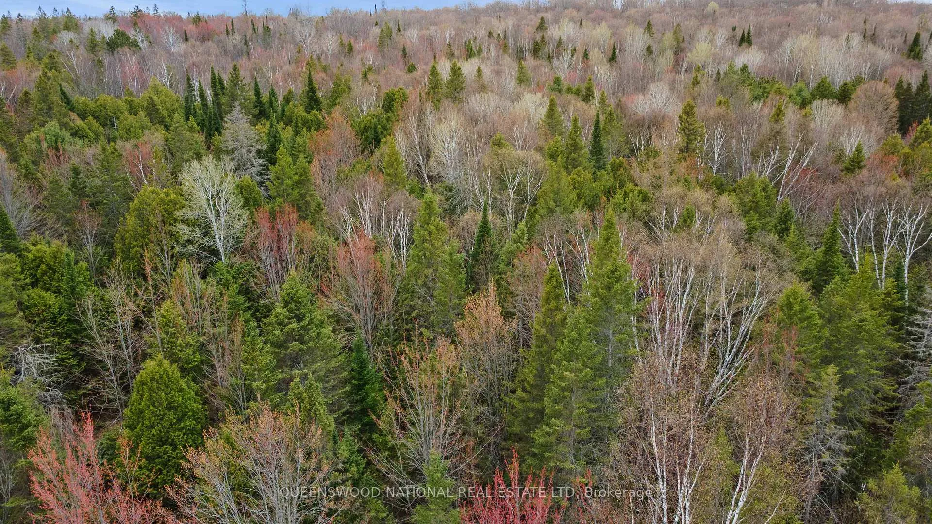 Photo 8 of Siberia Road, Madawaska Valley, Madawaska Valley — HOMEH