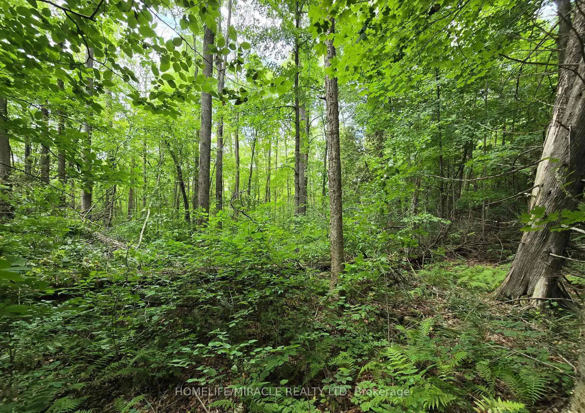 Photo of 000 Cedar Sands Road