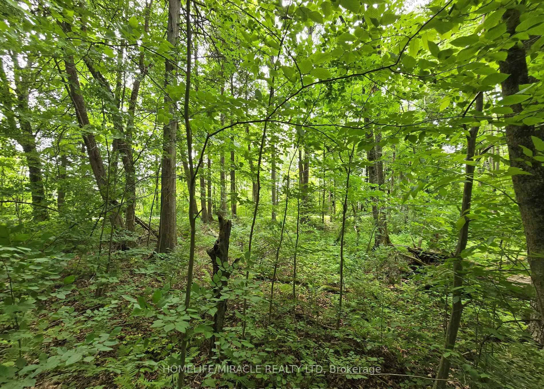 Photo 2 of 000 Cedar Sands Road, Rideau Lakes, Rideau Lakes (South Crosby) Twp — HOMEH