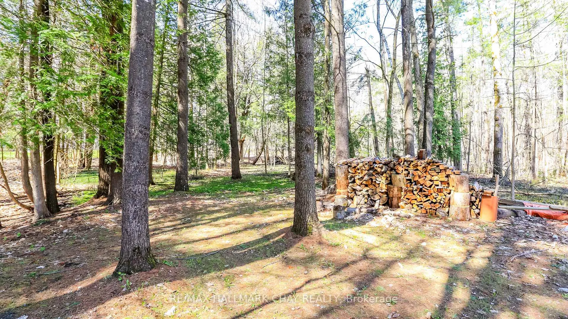 Photo 40 of 4062 Wainman Line, Severn, Bass Lake — HOMEH