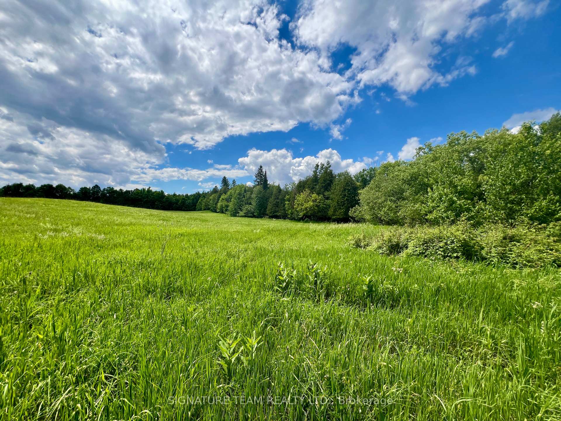 Photo 32 of 9390 60 Highway, North Algona Wilberforce, North Algona/Wilberforce Twp — HOMEH