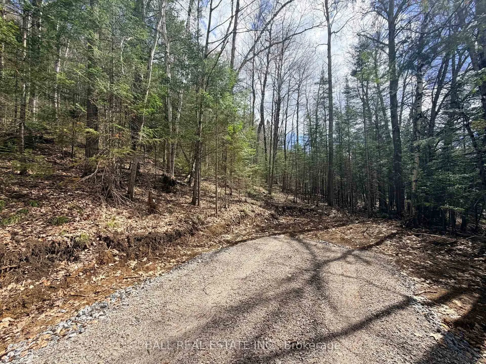 Photo 5 of Highway 62 N, Bancroft, Bancroft Ward — HOMEH