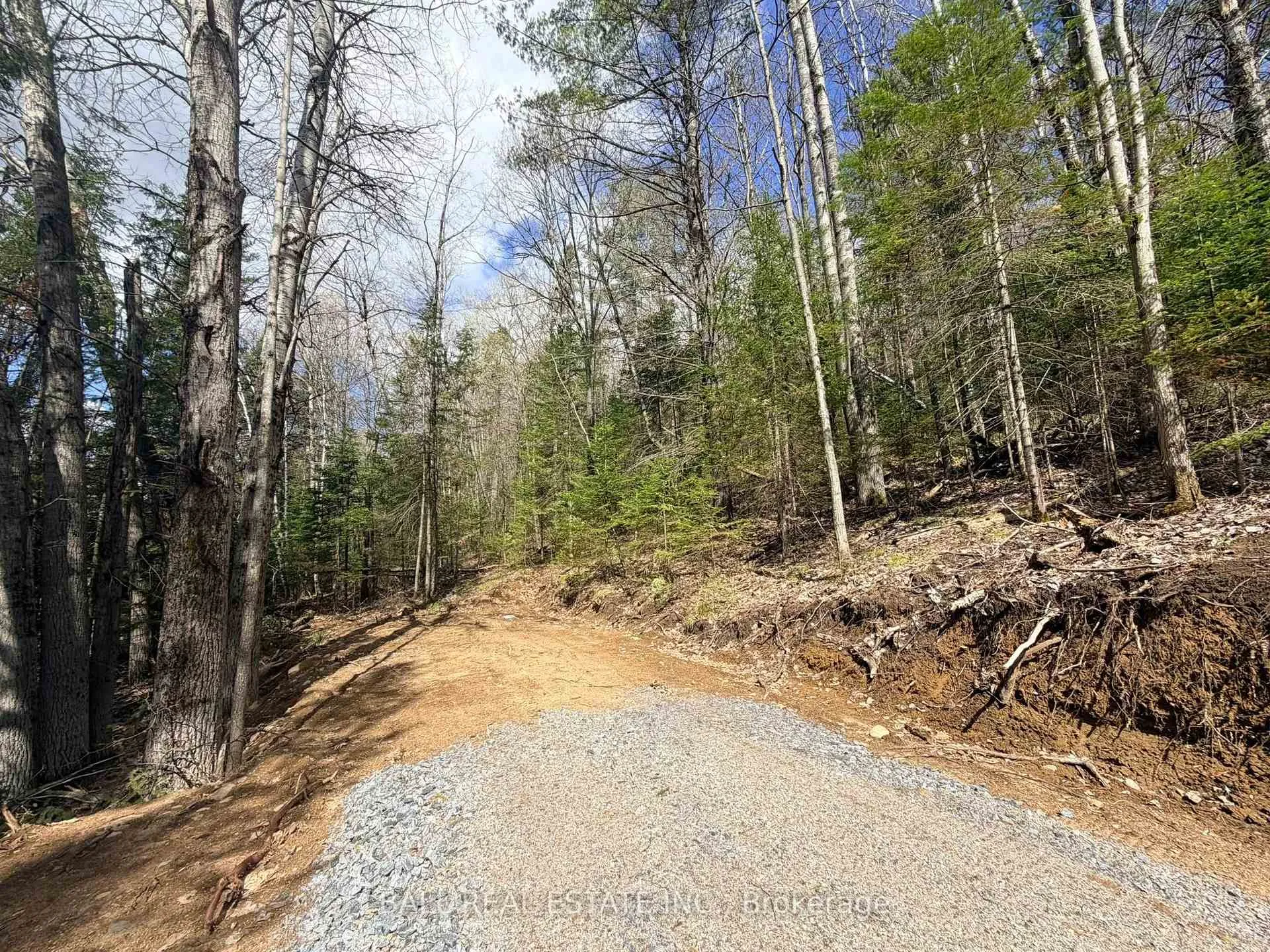 Photo 10 of 00 Highway 62 N, Bancroft, Bancroft Ward — HOMEH