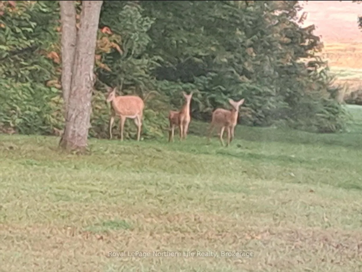 Photo 3 of 607 Farmers Line, Bonfield — HOMEH