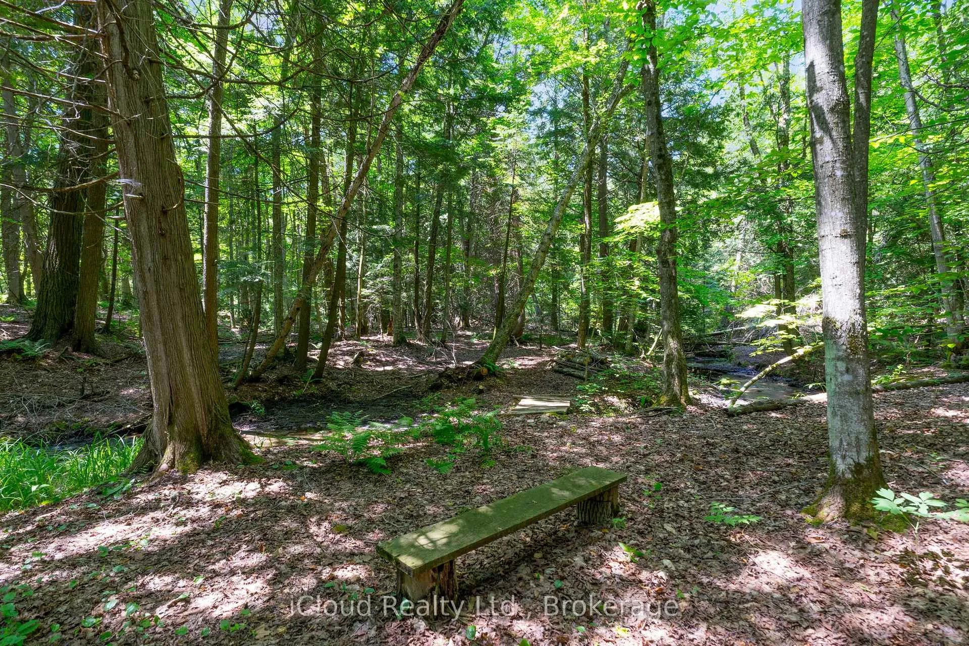 Photo 37 of 487202 30 Sdrd Side Road, Mono, Rural Mono — HOMEH