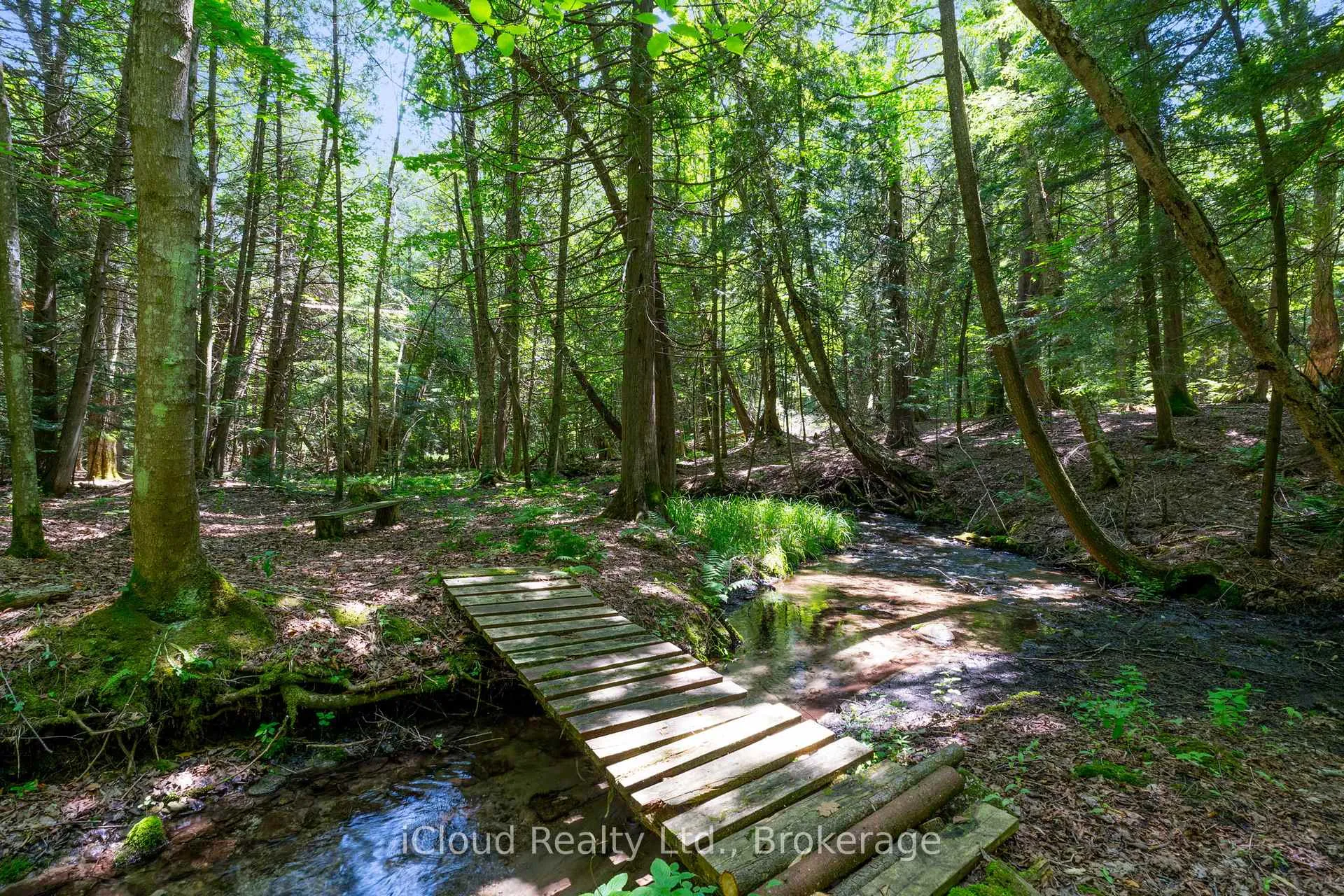 Photo 38 of 487202 30 Sdrd Side Road, Mono, Rural Mono — HOMEH