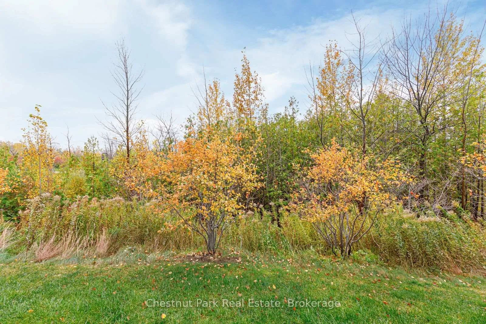 Photo 32 of Unit 105, 4 Anchorage Crescent, Collingwood — HOMEH