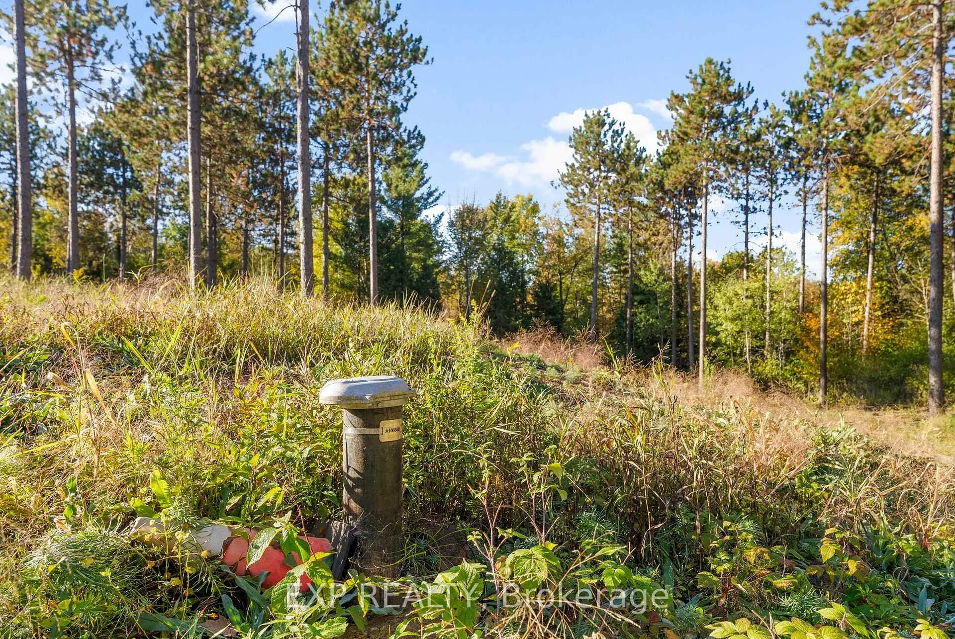 Photo 4 of 413 Swamp Road, Admaston/Bromley, Admaston/Bromley — HOMEH